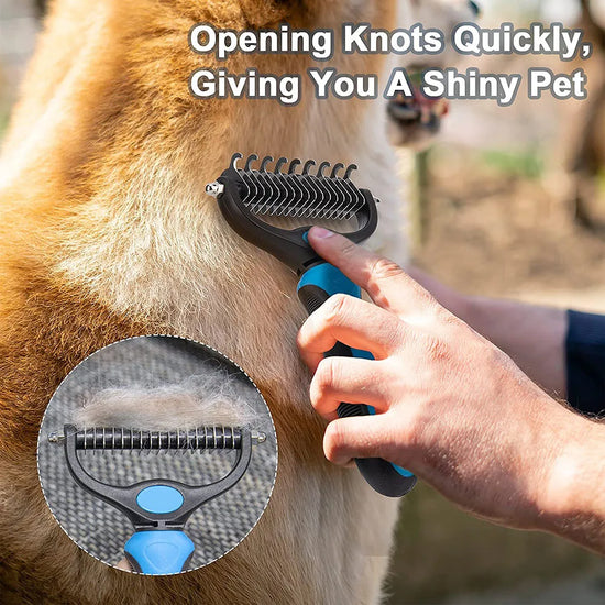 Deshedding brush grooming cat close-up